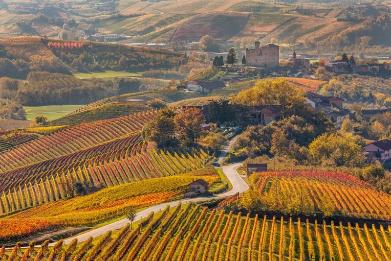 Castelos e Vinhos do Piemonte & Lago Maggiore